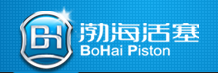 山東濱州渤海活塞股份有限公司產品實驗中心