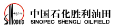 中國石油化工股份有限公司勝利油田分公司勘探開發研究院石油地質測試中心哥倆好新材料股份有限公司檢測實驗室