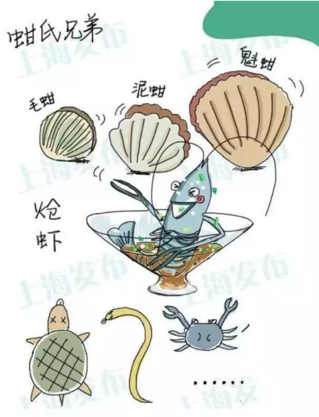 上海市禁止生產(chǎn)銷售毛蚶、熗蝦 季節(jié)性禁售醉蝦醉蟹