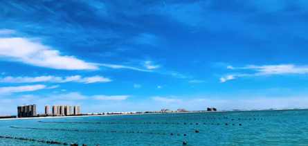 海洋牧場裝備：誰能奏響“海上田園牧歌”？